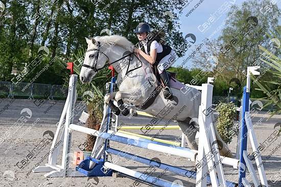 Saint-Amand-les-Eaux (26 avr. 2026) - CSO