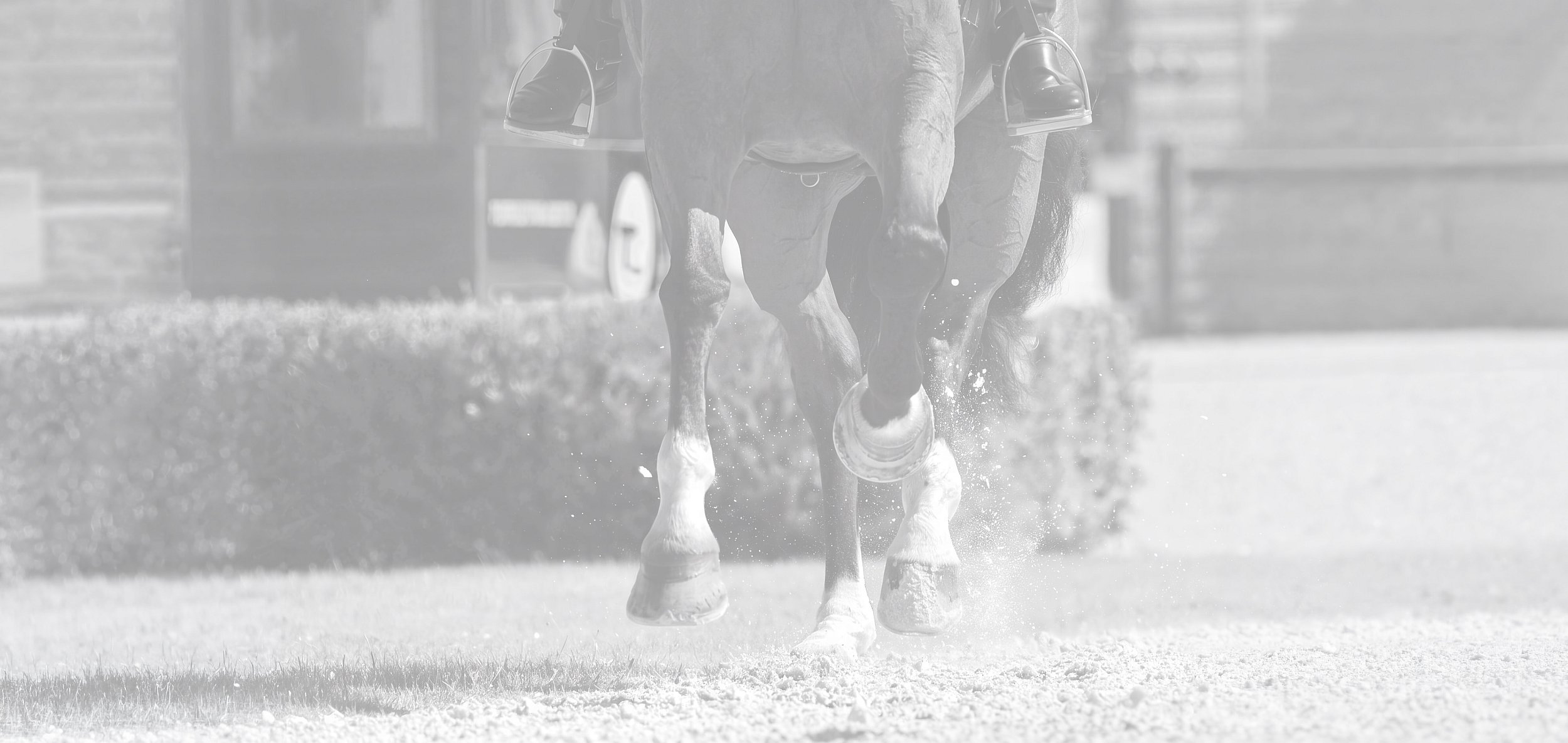 Cavalimage